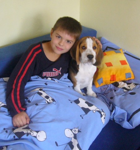 domca 001