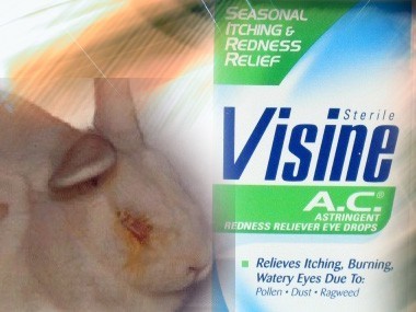 visine