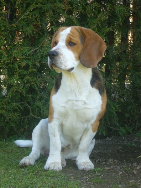 P1100035