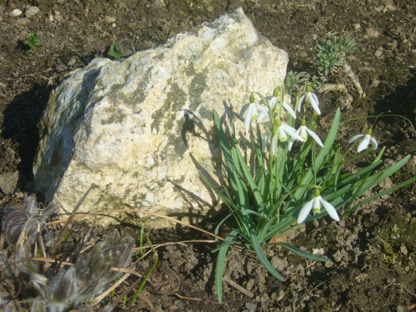 P1100038