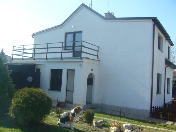 P1100045