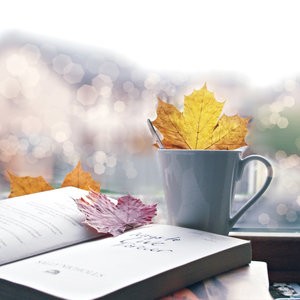 random_afternoon_by_loLO_o