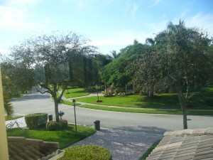 Florida 001