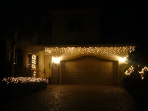Florida 011
